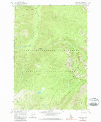 Wahoo Peak 1966 topographic map thumbnail