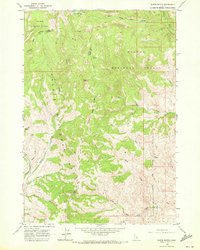 Wards Butte 1963 topographic map thumbnail