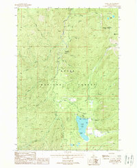 Warm Lake 1988 topographic map thumbnail