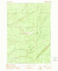 Warm River Butte 1989 topographic map thumbnail
