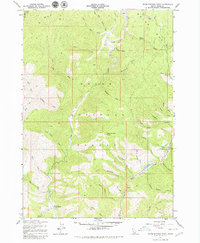 Warm Springs Point 1957 topographic map thumbnail