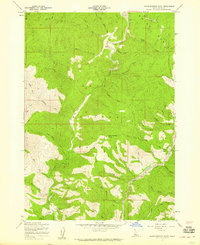 Warm Springs Point 1957 topographic map preview