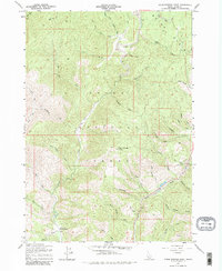 Warm Springs Point 1957 topographic map preview