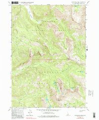 Washington Peak 1964 topographic map thumbnail