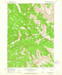Washington Peak 1964 topographic map thumbnail
