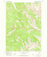 Washington Peak 1964 topographic map thumbnail