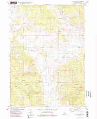 Wayan East 1980 topographic map thumbnail