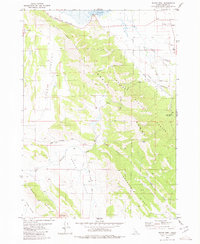 Wayan West 1980 topographic map preview
