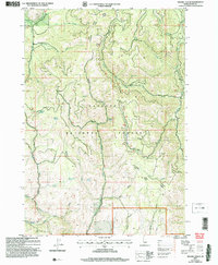 Weasel Gulch 2004 topographic map thumbnail