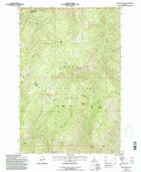 Weitas Butte 1994 topographic map thumbnail