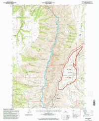 White Bird 1995 topographic map thumbnail
