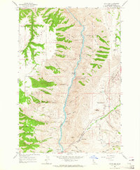 White Bird 1963 topographic map thumbnail