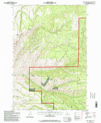White Bird Hill 1995 topographic map thumbnail