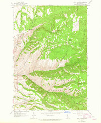 White Bird Hill 1963 topographic map thumbnail