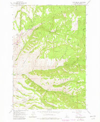 White Bird Hill 1963 topographic map thumbnail