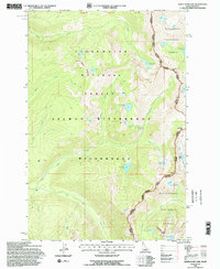 White Sand Lake 1994 topographic map thumbnail