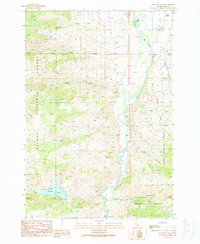 Williams Lake 1989 topographic map thumbnail
