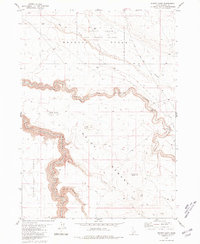 Winter Camp 1980 topographic map thumbnail