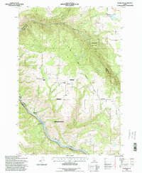 Woodland 1994 topographic map thumbnail