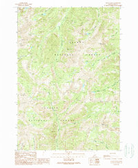 Yellow Peak 1989 topographic map thumbnail
