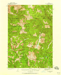 Big Creek 1937 topographic map thumbnail