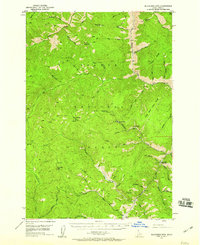 Blackbird Mtn 1950 topographic map thumbnail