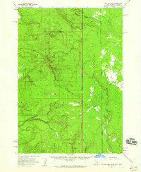 Buffalo Lake 1957 topographic map thumbnail