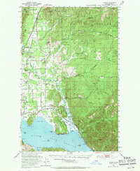 Elmira 1951 topographic map thumbnail