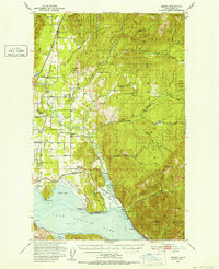 Elmira 1951 topographic map thumbnail