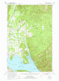 Elmira 1951 topographic map thumbnail