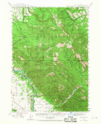 Garns Mtn 1943 topographic map thumbnail