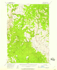 Hornet 1957 topographic map thumbnail