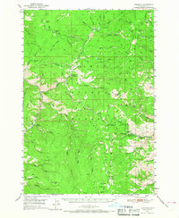 Leesburg 1950 topographic map thumbnail