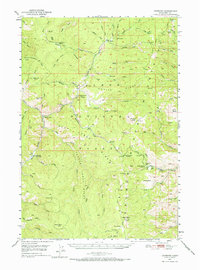 Leesburg 1950 topographic map thumbnail
