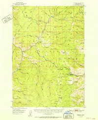 Leesburg 1951 topographic map thumbnail