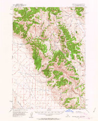 Morrison Lake topographic map thumbnail