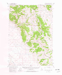 Morrison Lake 1956 topographic map thumbnail