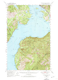 Packsaddle Mtn 1949 topographic map thumbnail