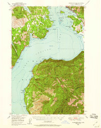 Packsaddle Mtn 1949 topographic map thumbnail