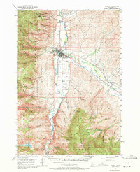 Salmon 1950 topographic map preview