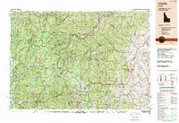 Challis 1989 topographic map thumbnail