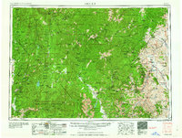 Challis 1963 topographic map thumbnail