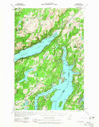 Allyn topographic map thumbnail