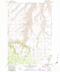 Anatone 1971 topographic map preview