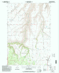 Anatone 1995 topographic map thumbnail