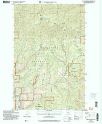 Baldy Mountain 2004 topographic map thumbnail