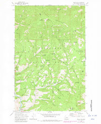 Baldy Mtn 1968 topographic map thumbnail