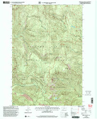 Bare Mountain 1998 topographic map preview