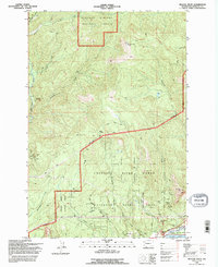 Beacon Rock 1994 topographic map thumbnail
