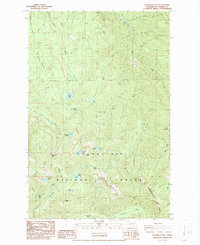 Bearhead Mtn topographic map thumbnail